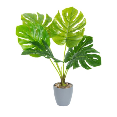 Planta Artificial Ceriman