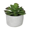 Planta Artificial Cilindrica Suculenta