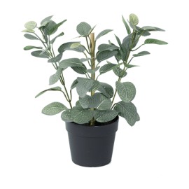 Planta artificial Fitonia