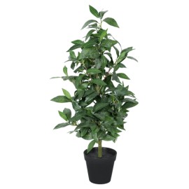 Planta artificial Amur